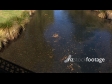 Punting on the Avon 1 3409